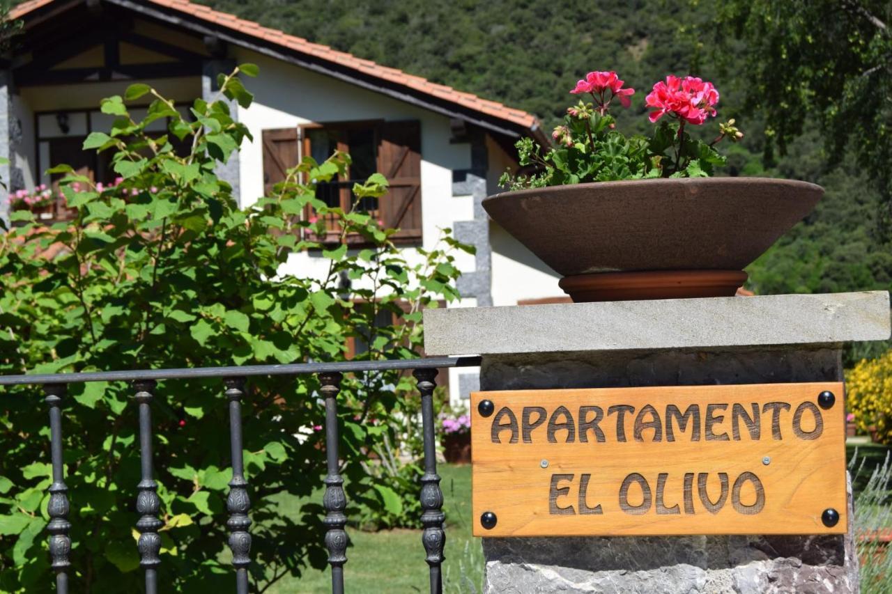 Excepcional Apartamento El Olivo Ojedo Buitenkant foto