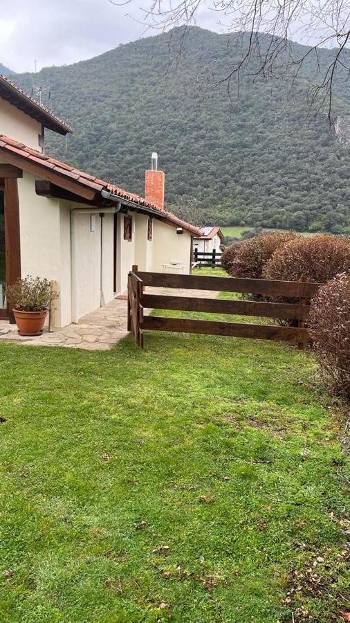 Excepcional Apartamento El Olivo Ojedo Buitenkant foto